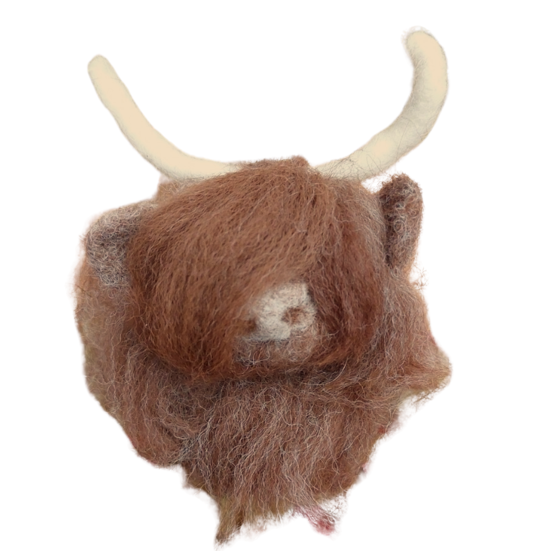 highland cow